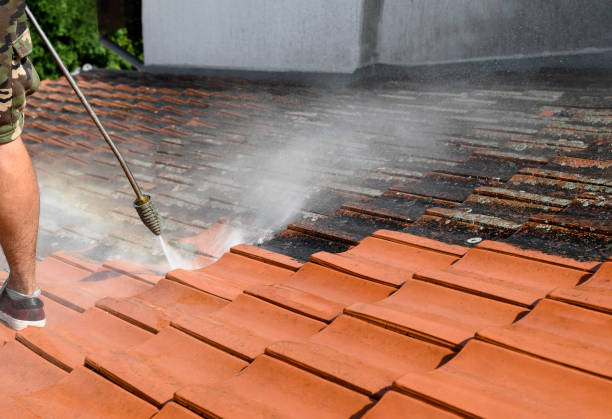 Best Roof Pressure Washing  in Roseau, MN