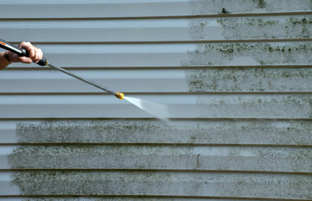 Best Garage Pressure Washing  in Roseau, MN