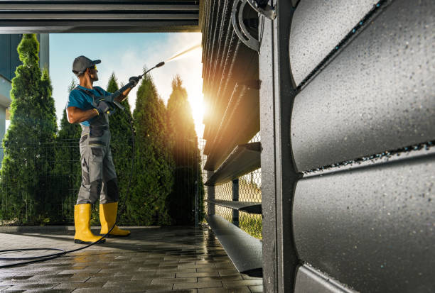 Best Roof Pressure Washing  in Roseau, MN