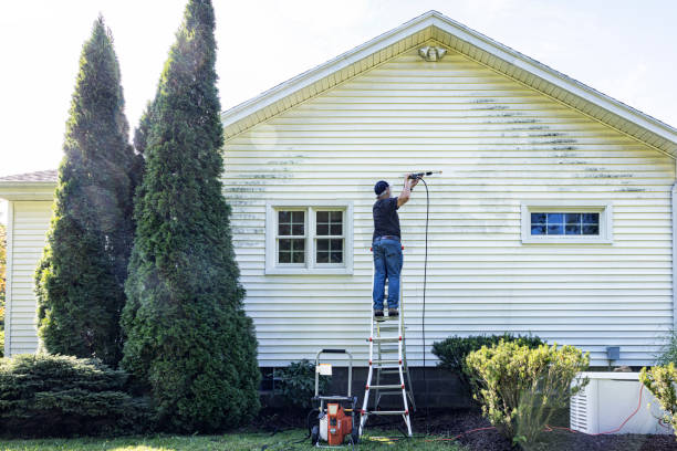 Best Residential Pressure Washing Services  in Roseau, MN