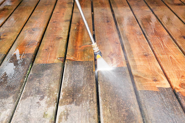 Best Commercial Pressure Washing  in Roseau, MN