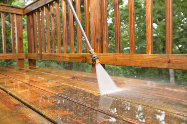 Deck Cleaning Services in Roseau, MN