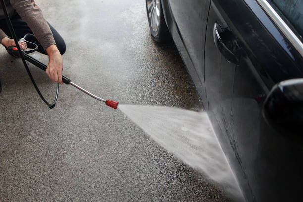 Best Exterior Home Cleaning  in Roseau, MN