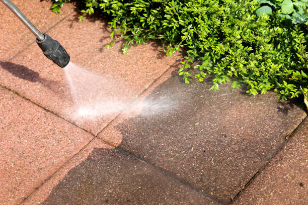 Best Affordable Power Washing  in Roseau, MN